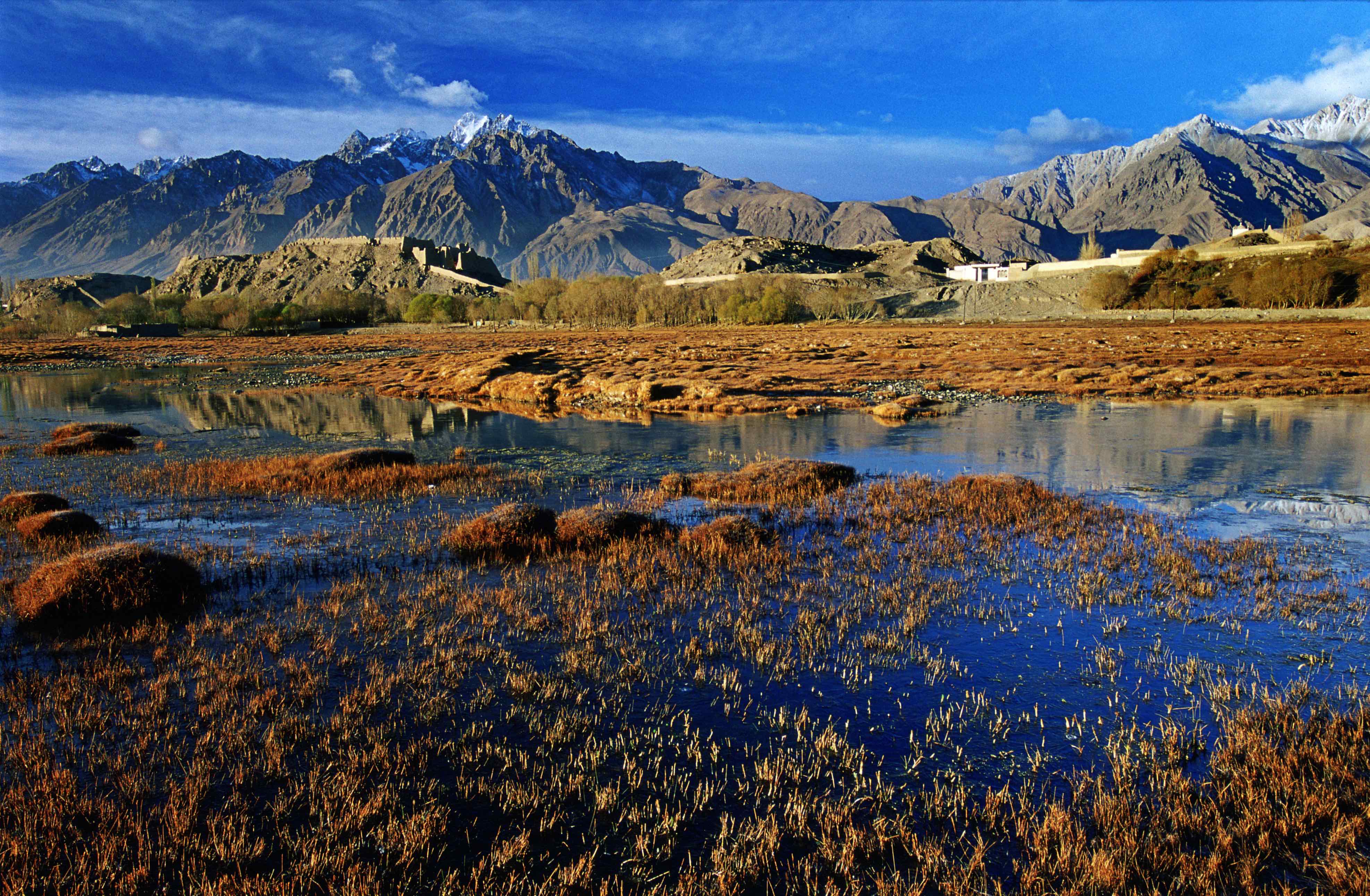 ͷ | һbeats365ֳɾͭ