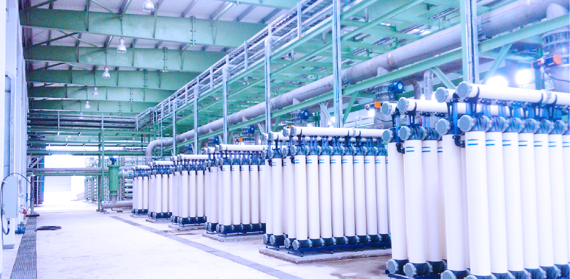 ʢ̫ɭֽҵˮôóͷֽѭˮóͷĿ