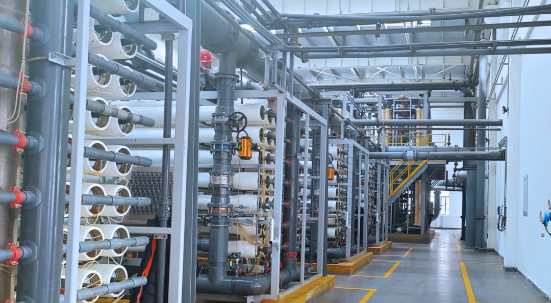 ͷ | 2023ͬ245.97% - 415.92%ҵͻ