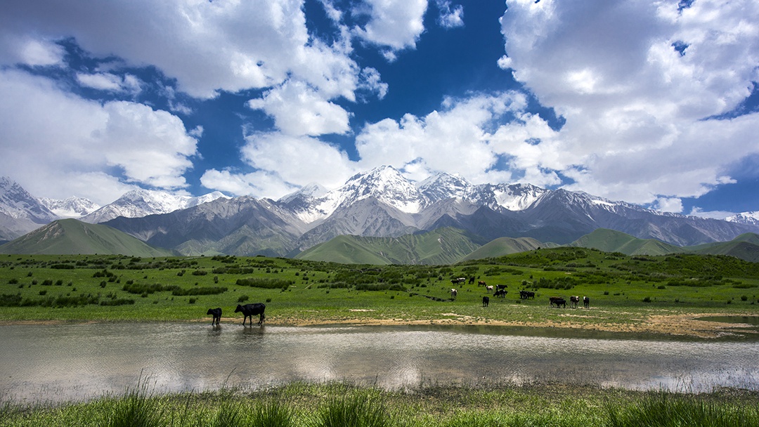 ͷ | һbeats365ֳɾͭ