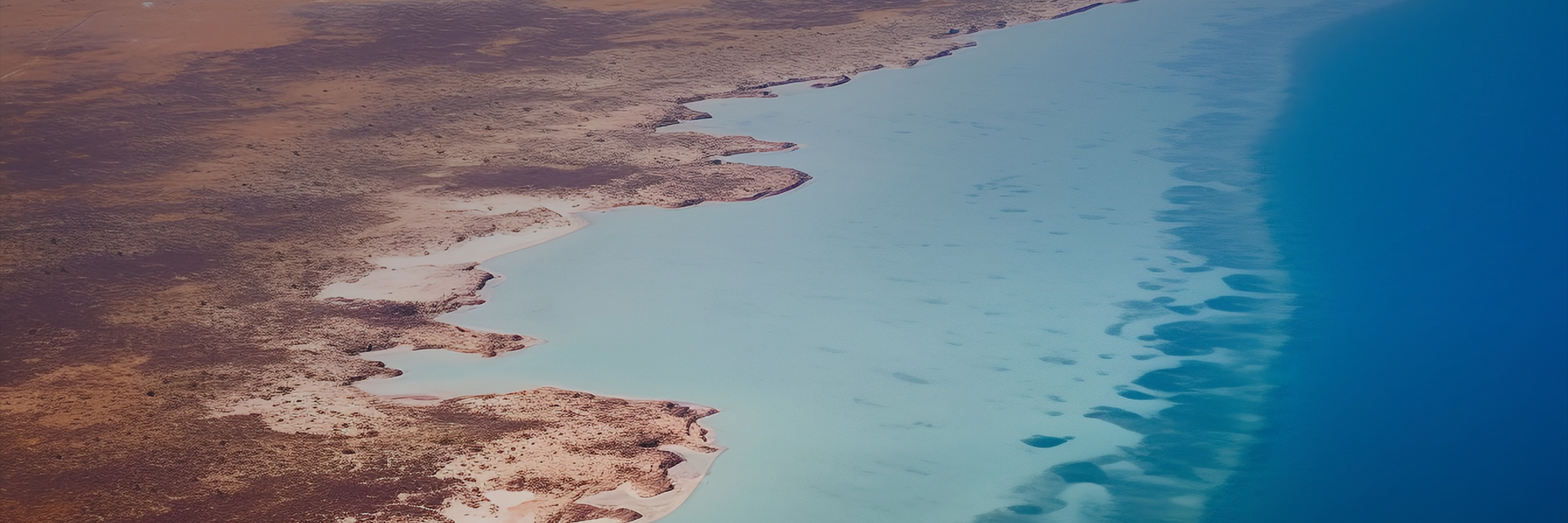 beats365(й)-Ψһٷվ